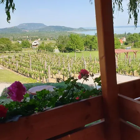 아파트 Szabo Pince Vendeghaz 발라토네데릭스