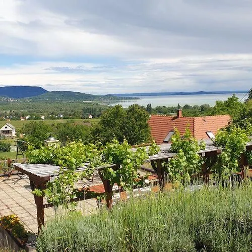 Szabo Pince Vendeghaz 아파트 발라토네데릭스