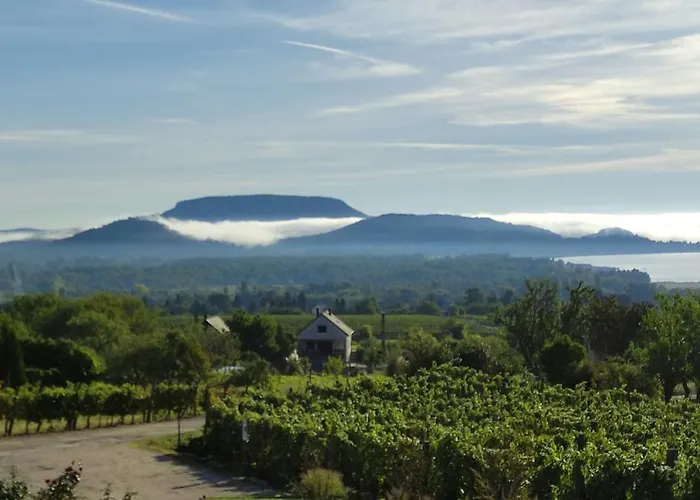 Szabo Pince Vendeghaz 발라토네데릭스