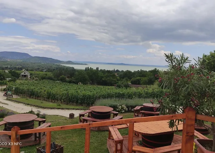 Szabo Pince Vendeghaz *