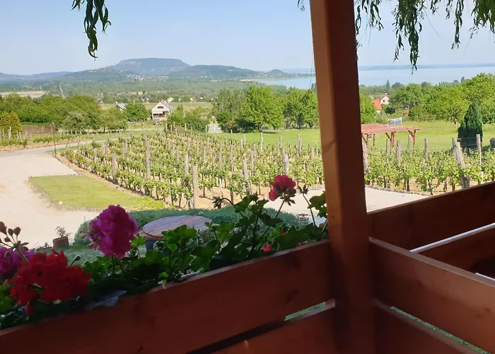 アパート Szabo Pince Vendeghaz バラトネデリッチ